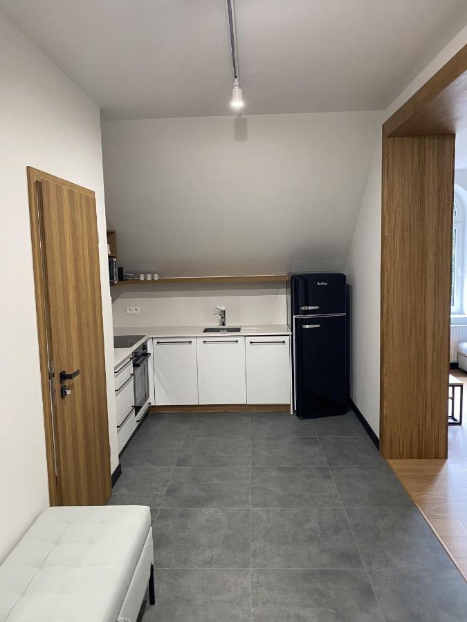 Apartamenty Przy Parku Szwedzkim Szczawno-Zdroj Ngoại thất bức ảnh